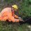 Bombeiros resgatam cão caído em córrego